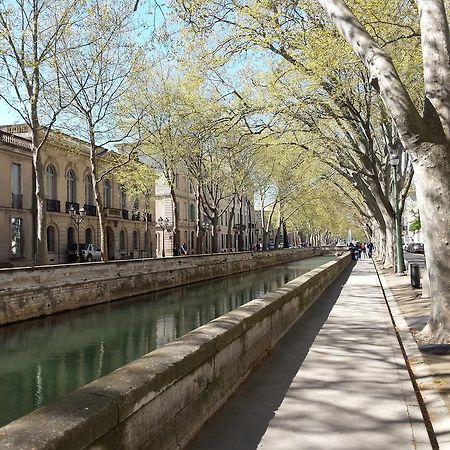 Studio Nîmes Centre Cameră foto